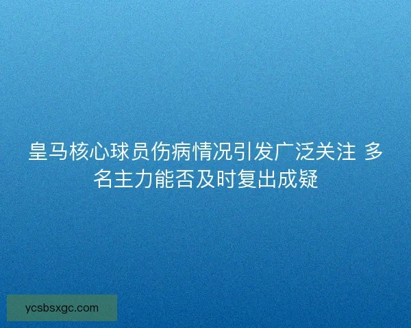 皇马核心球员伤病情况引发广泛关注 多名主力能否及时复出成疑