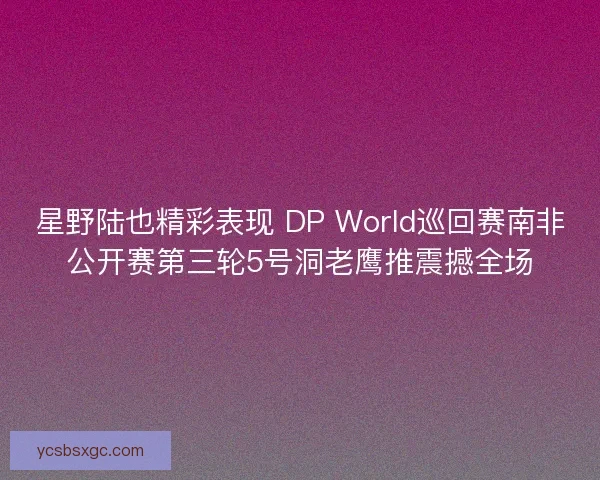 星野陆也精彩表现 DP World巡回赛南非公开赛第三轮5号洞老鹰推震撼全场 星野陆也精彩表现 DP World巡回赛南非公开赛第三轮5号洞老鹰推震撼全场